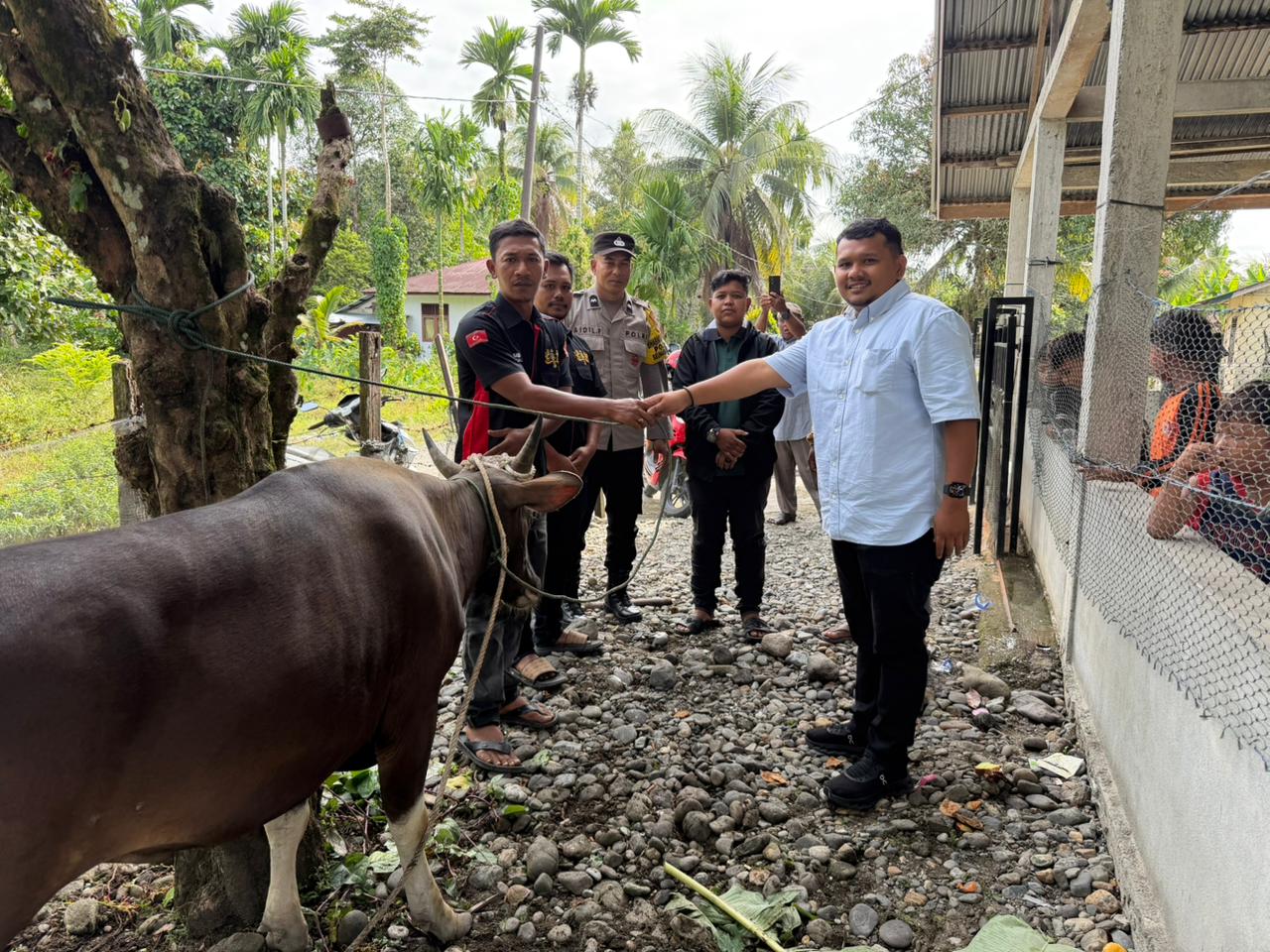 Anggota DPR RI Jamaluddin Idham Serahkan Bantuan Sapi untuk Keluarga Syuhada GAM di Nagan Raya Anggota DPR RI Jamaluddin Idham Serahkan Bantuan Sapi untuk Keluarga Syuhada GAM di Nagan Raya